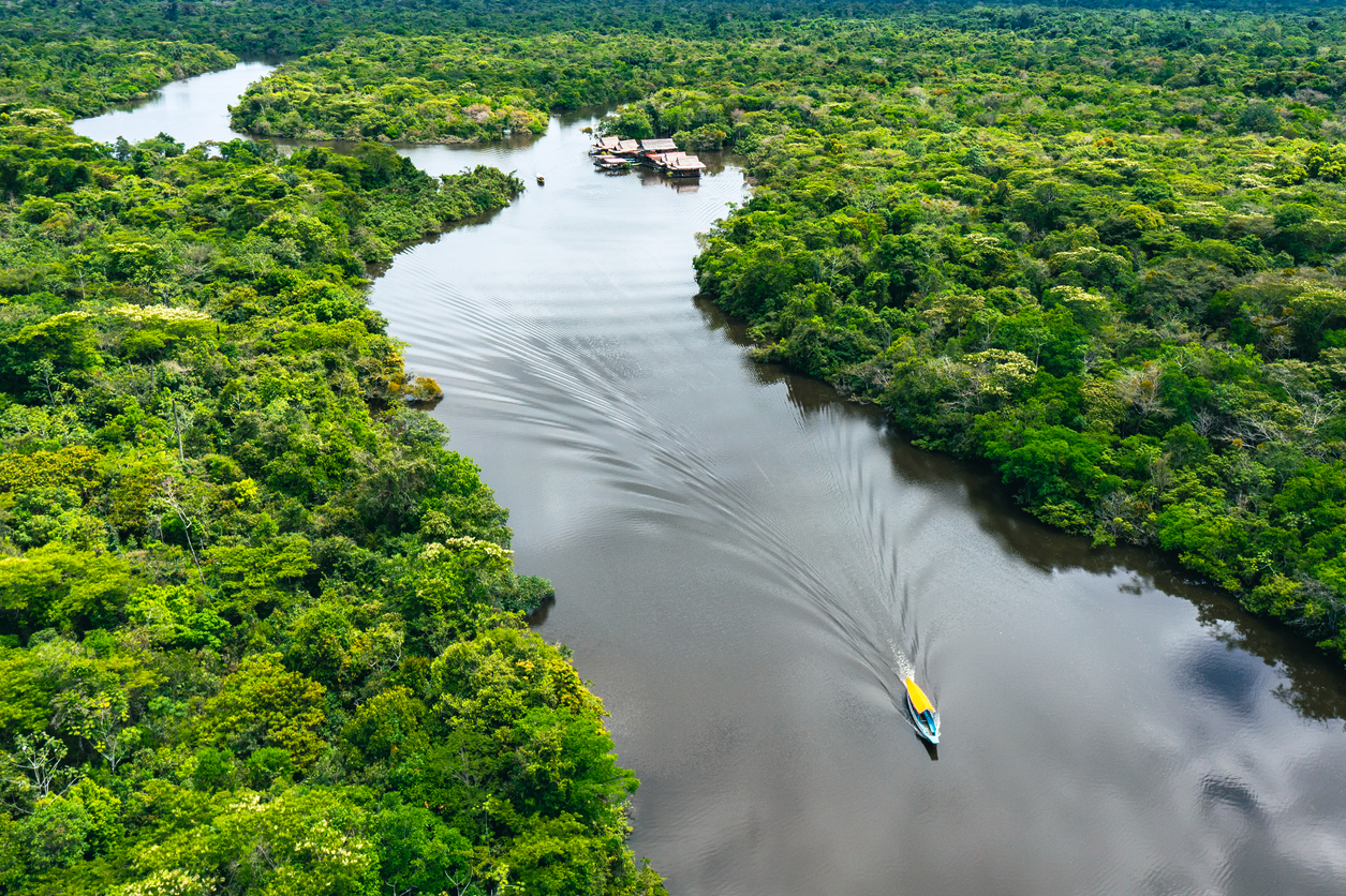COP28: il MASE aderisce al Fondo Amazzonia con cinque milioni