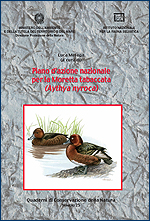 Immagine-copertina della pubblicazione 'Quaderni di Conservazione della Natura n. 25 - Piano d’azione nazionale per la Moretta tabaccata (Aythya nyroca)'