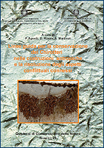 Immagine-copertina della pubblicazione 'Quaderni di Conservazione della Natura n. 28 - Linee guida per la conservazione dei Chirotteri nelle costruzioni antropiche e la risoluzione degli aspetti conflittuali connessi'