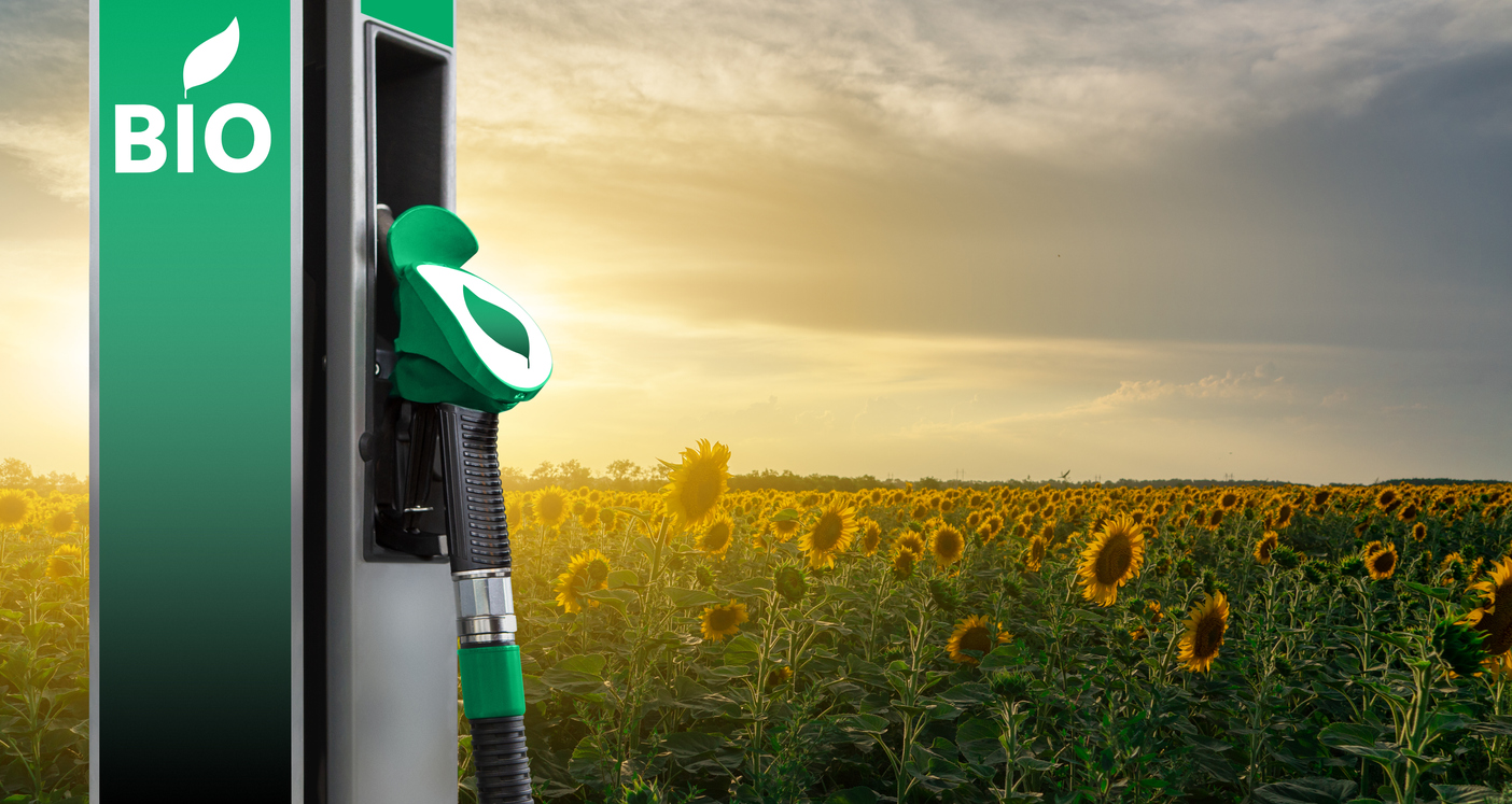 G20: Pichetto, piena adesione Italia ad alleanza biocarburanti                                            